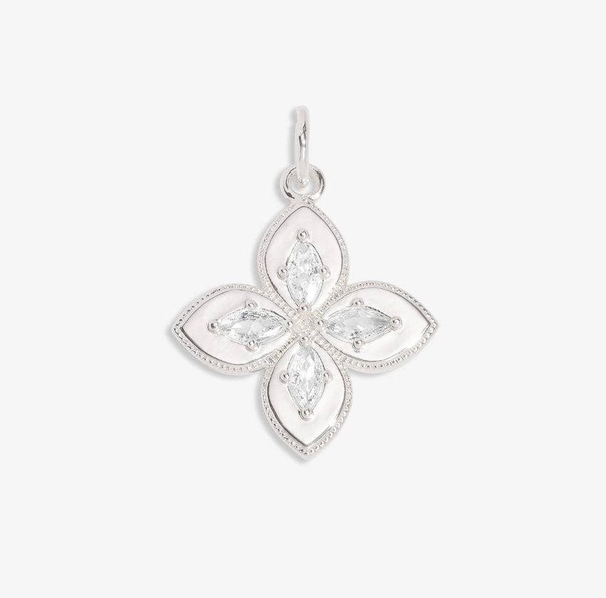 Luck Charm