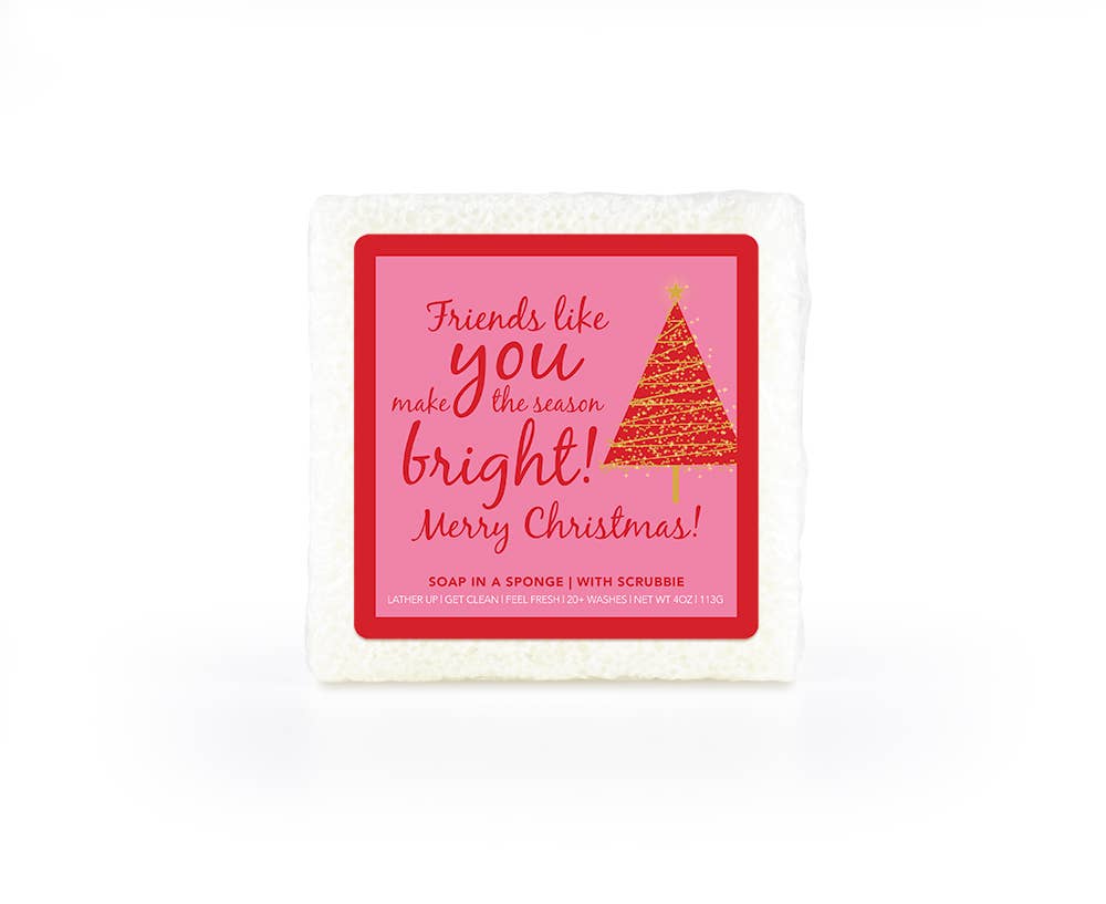 Friends Like You Make...| SEASIDE Square Sponge