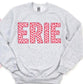 Heart ERIE Sweatshirt