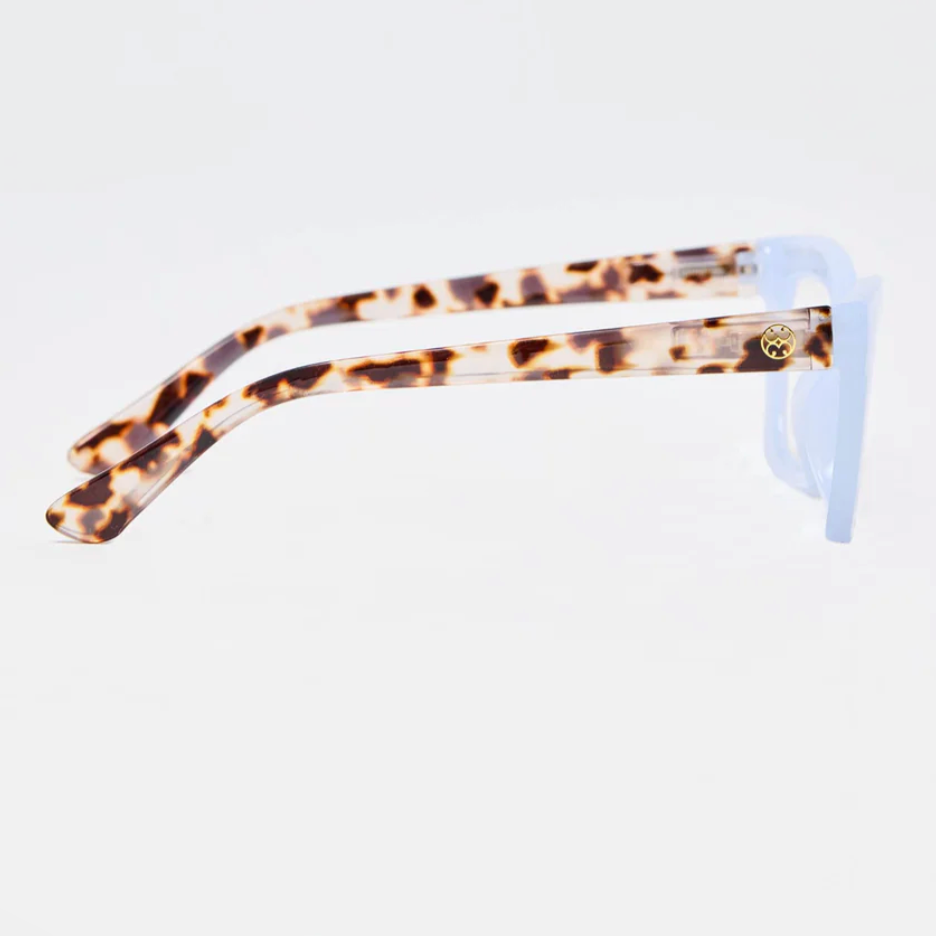 Jenn Blue Tortoise Readers +1.0