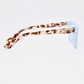 Jenn Blue Tortoise Readers +1.0
