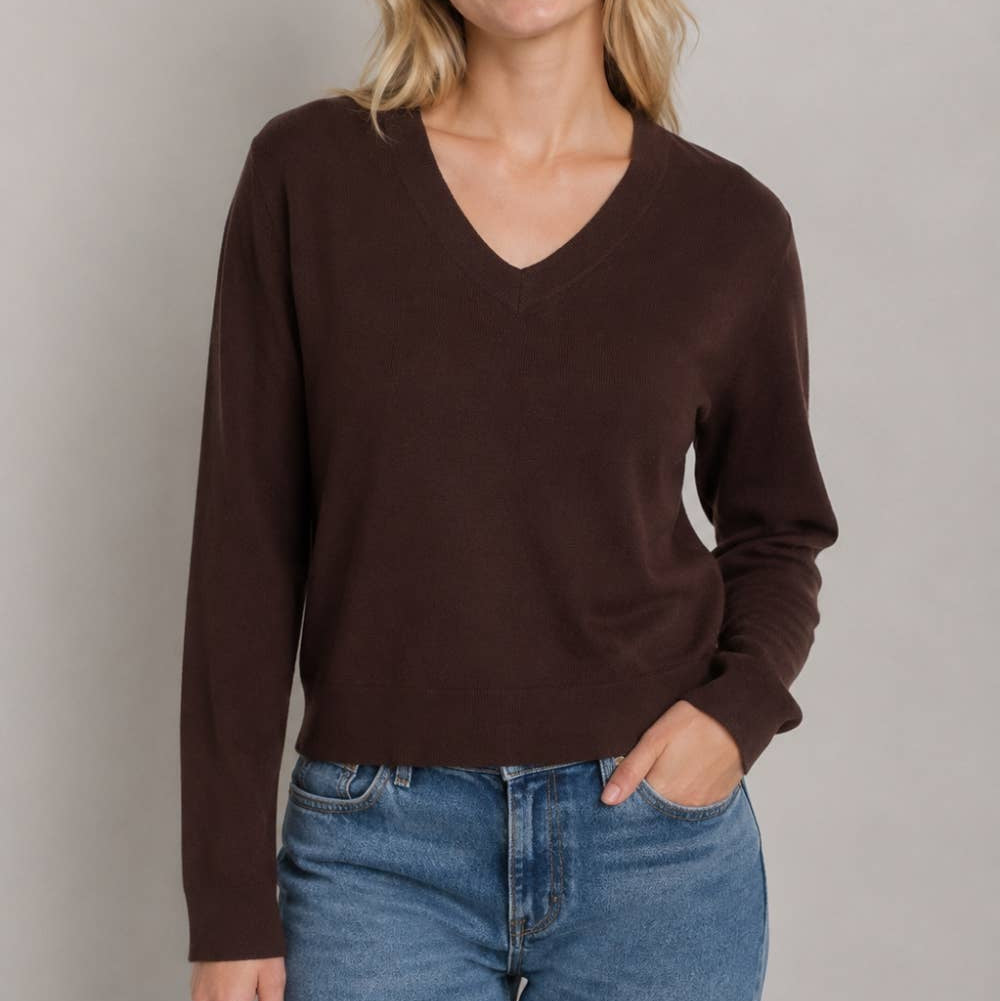 The Everyday Essential V-Neck Sweater