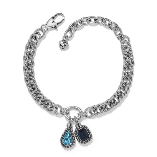 Twinkle Luxe Charm Link Bracelet